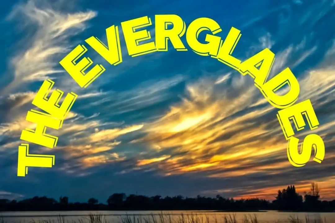 Photo of 15 Great Everglades 