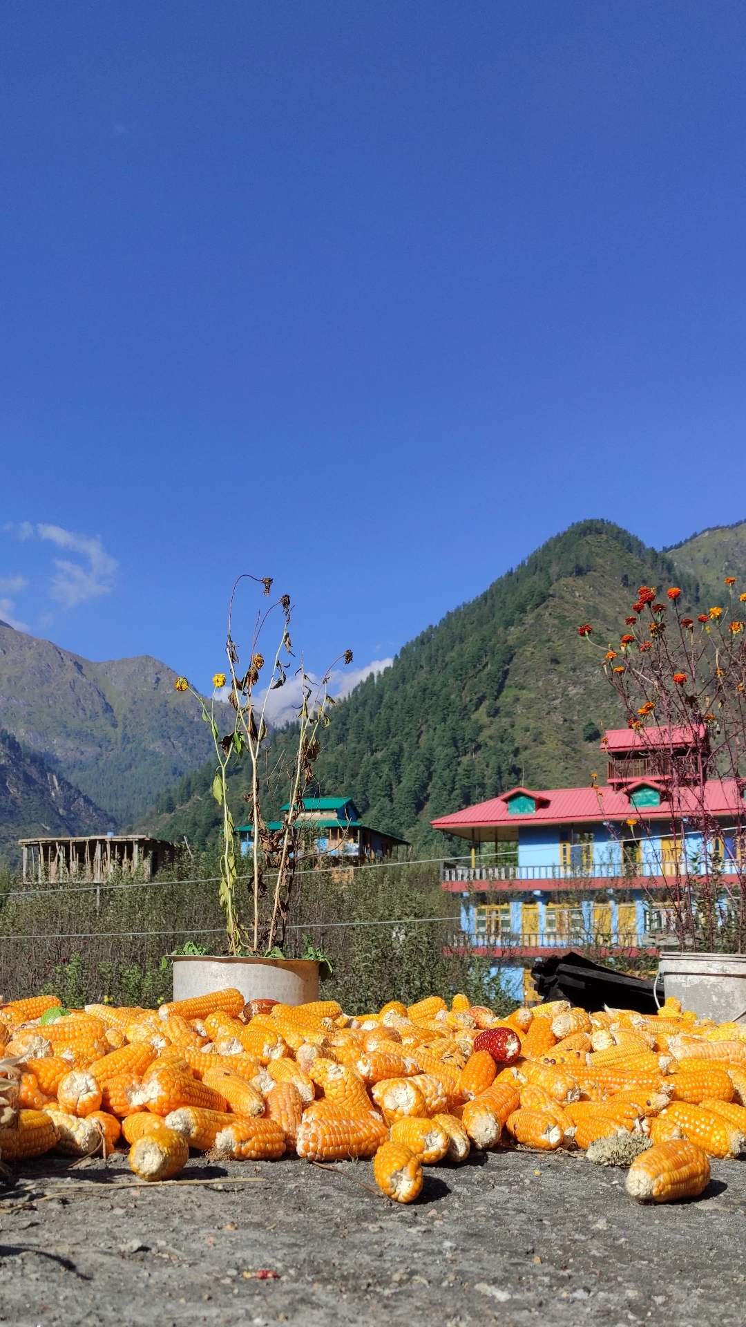 Photo of Living up my dreams.