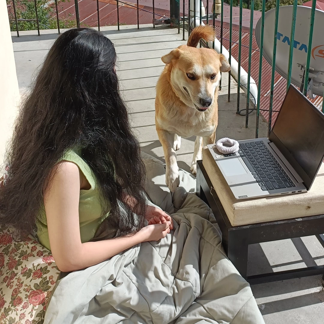 Photo of Work from Mountains 