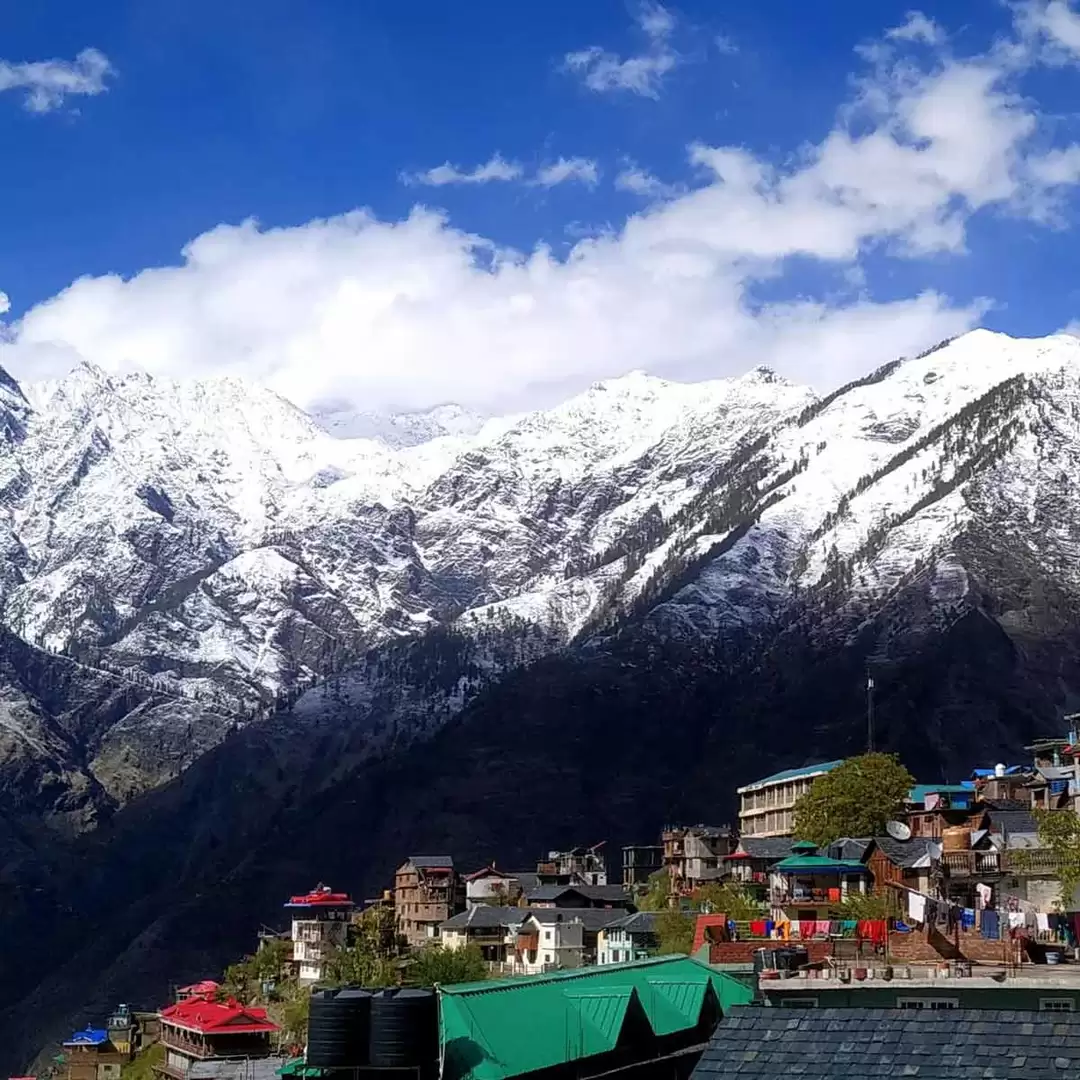 Photo of न्यू ईयर पर नही बना 