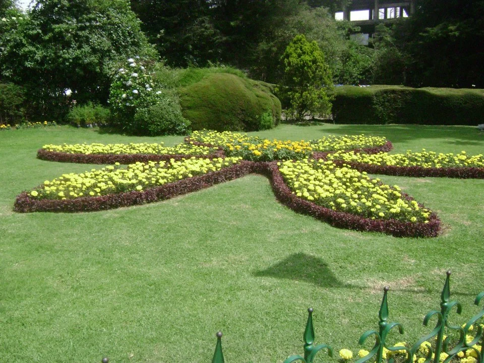 Photo of Ten things to do in