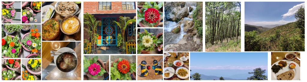 Photo of Dehradun Mussorie La