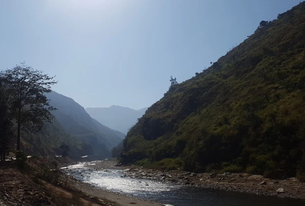 Photo of Our 'Dera' in the wi