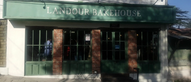 Photo of Landour: Rooted deep