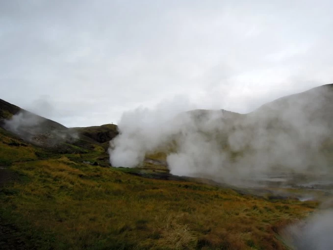 Photo of Heal Thyself in a Ro