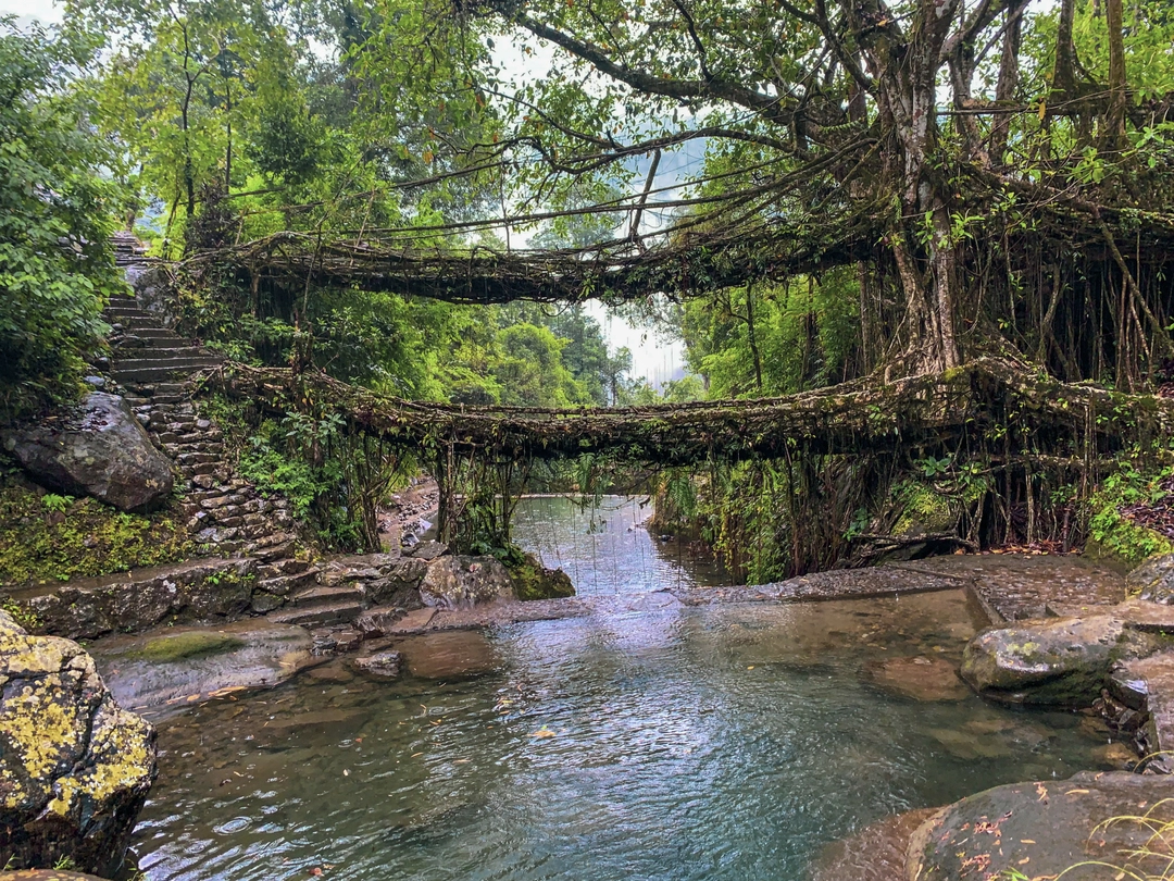 Photo of Journey to the Doubl