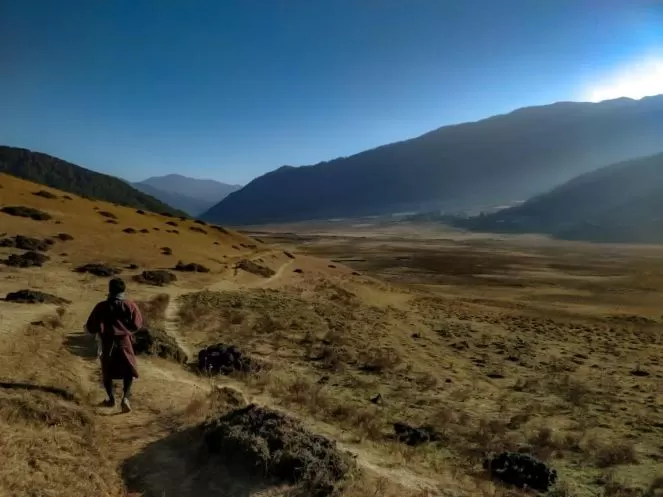 Photo of Gangtey: Where you c