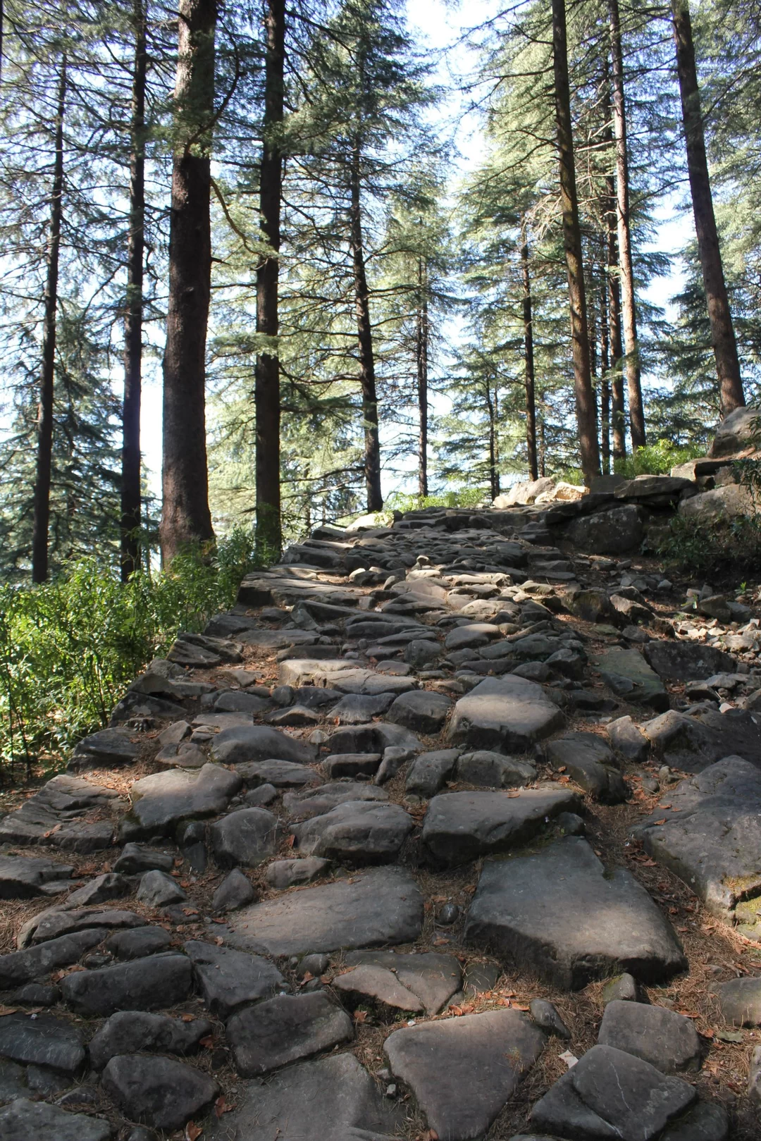 Photo of Triund