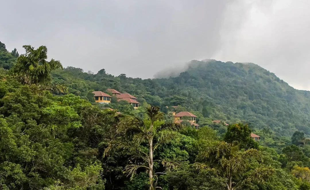 Photo of 11 Gorgeous Hotels L