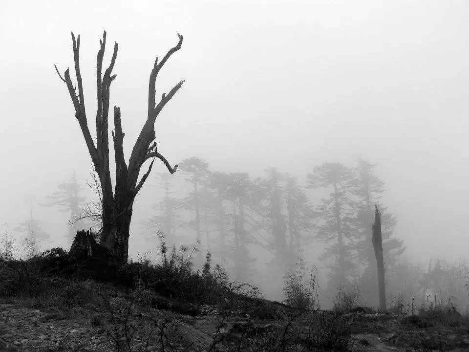 Photo of The Uncommon Maenam 