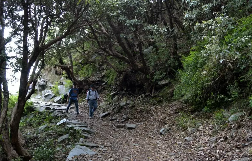 Photo of Triund: There and ba