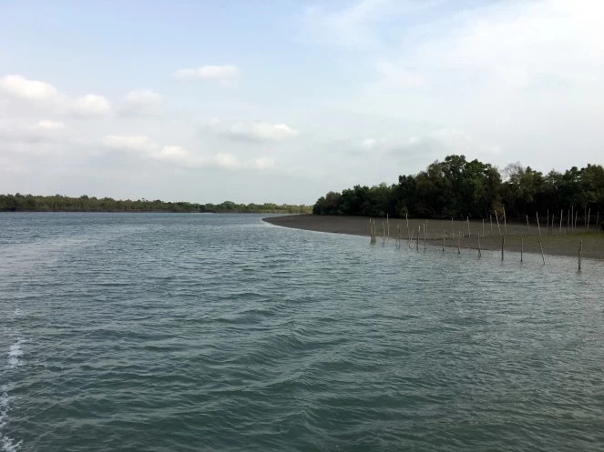 Photo of Sunderbans - beyond 