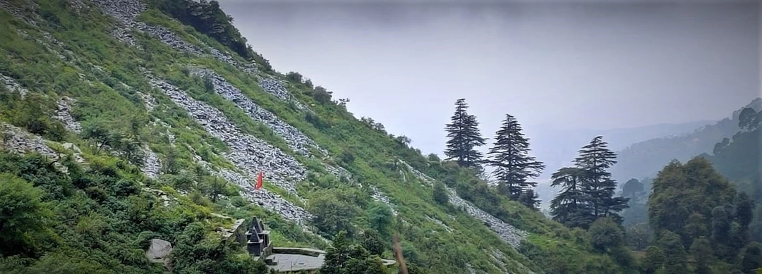 Photo of A week in the tiny h