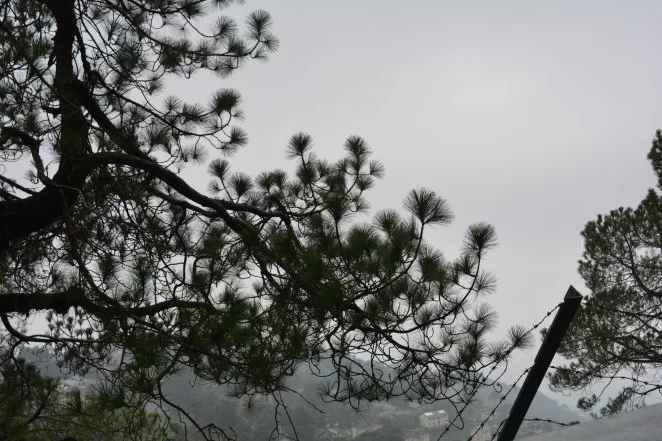 Photo of Mcleodganj - The sub