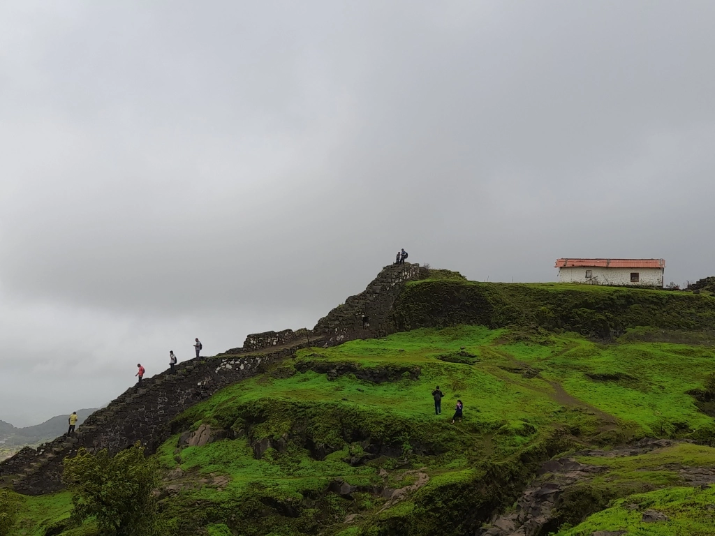 Photo of Let's Skip Lion's Po