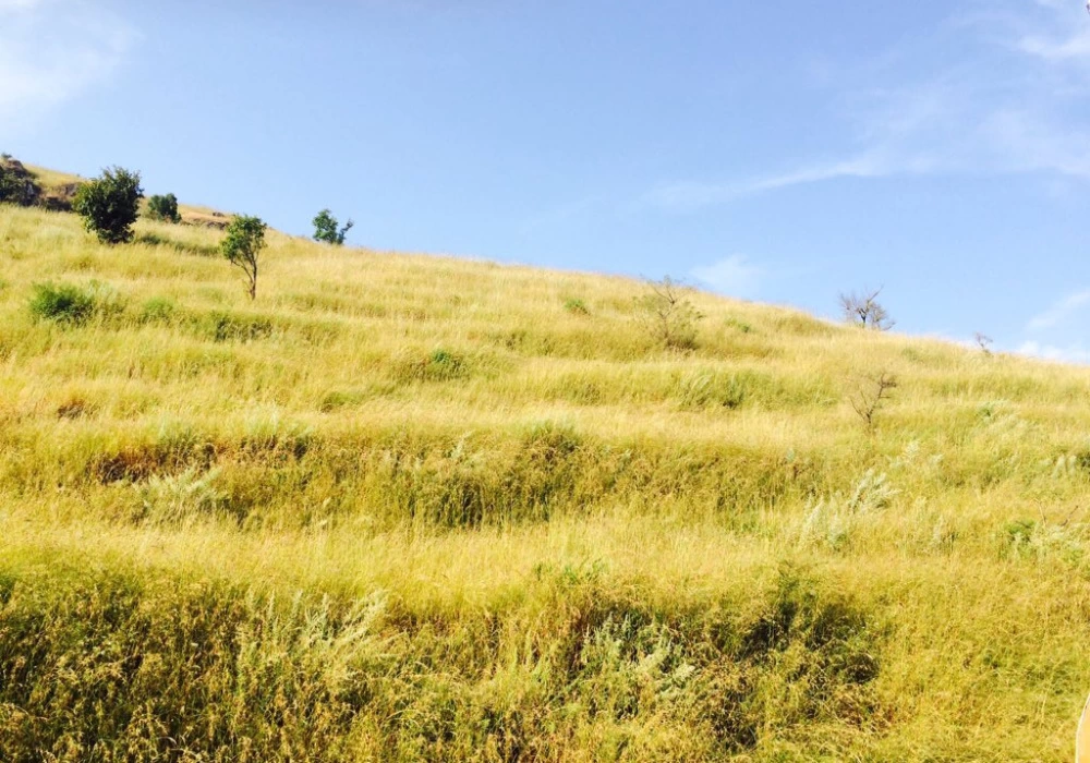 Photo of Panchgani - A love s