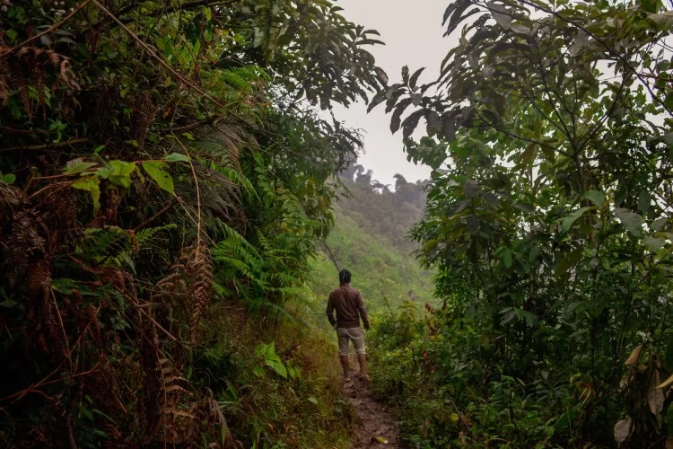 Photo of Basar Arunachal Prad