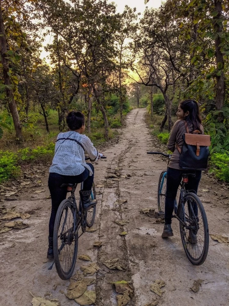 Photo of Travel Guide to Rewa