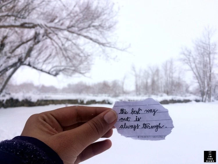 Photo of Best of my Mountain 