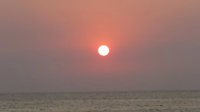 Photo of The Palolem Phenomen