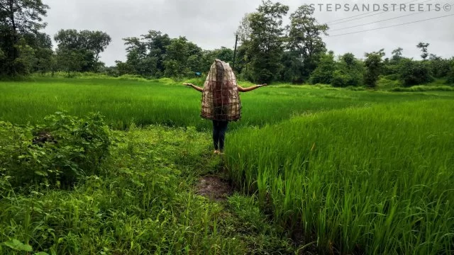 Photo of Monsoon Musings in 2
