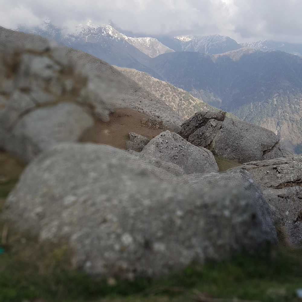 Photo of That blue tent