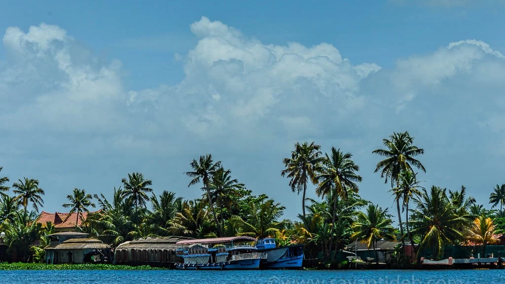 Photo of 5 Things You Shouldn