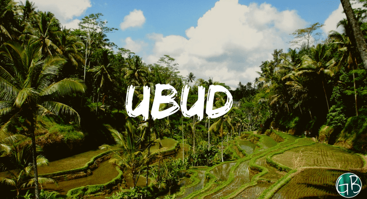 Photo of Explore the uplands 