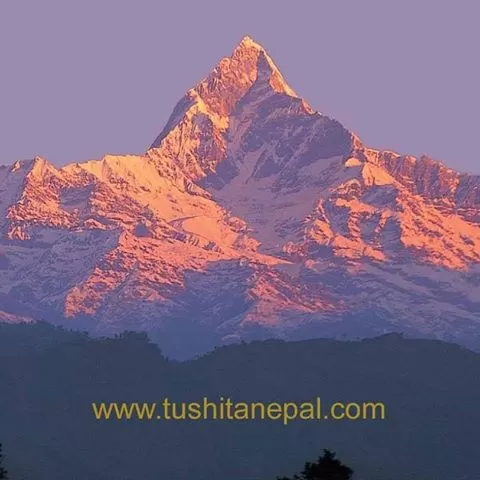 Photo of Rajesh Shrestha