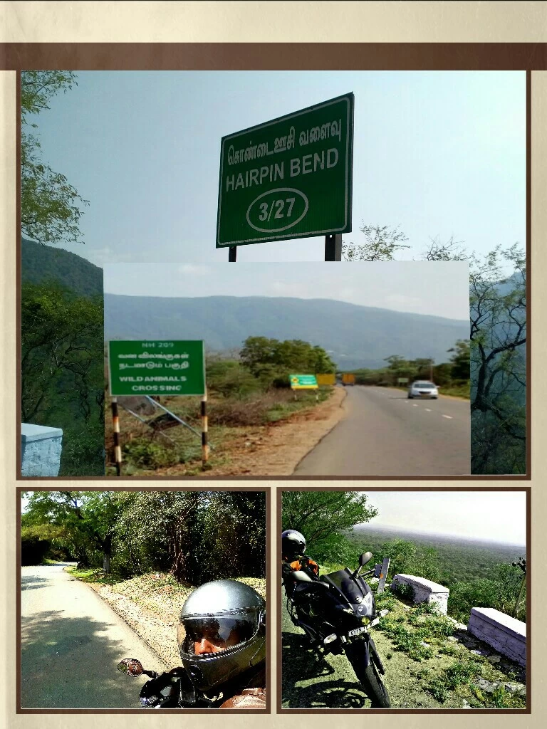 Photo of A soul searching Roa