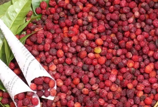 Photo of 20 Popular Garhwali