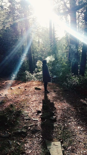 Photo of Mountain escapades: