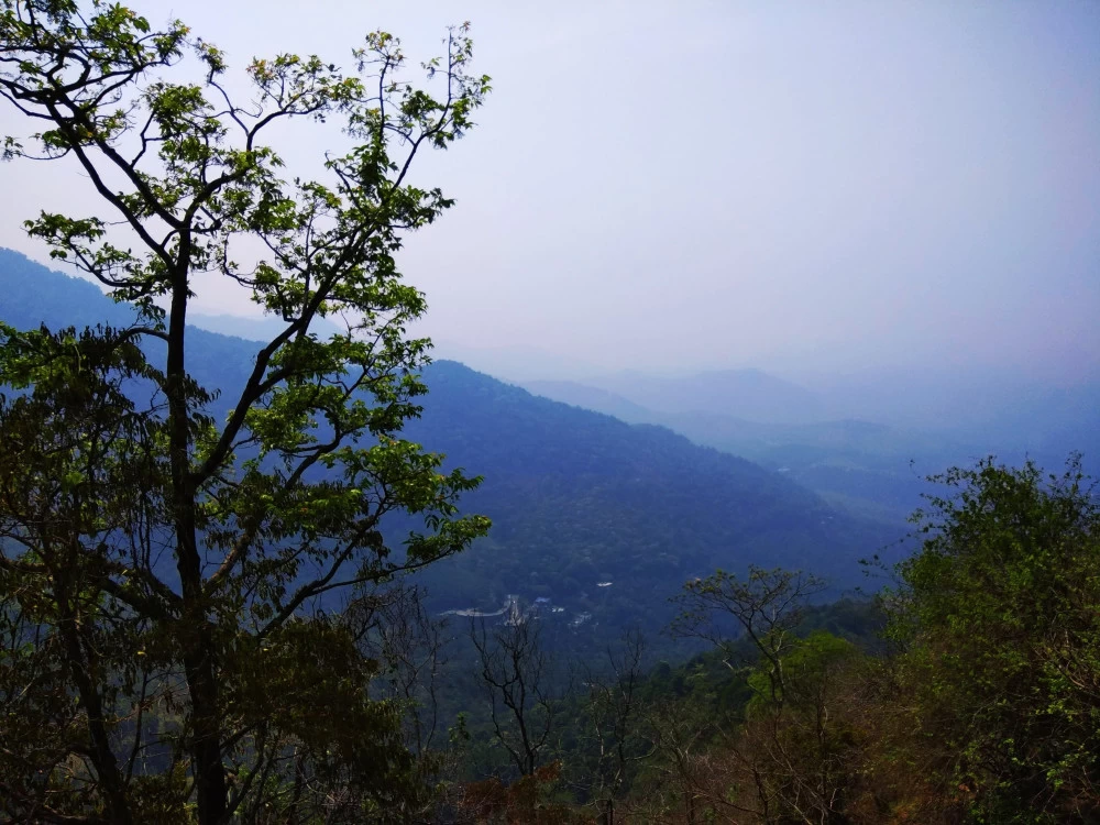 Photo of A trip to Wayanad