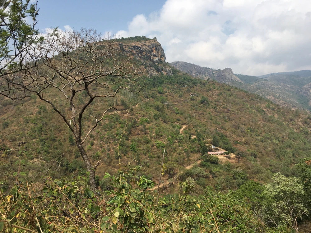 Photo of Staring into those G