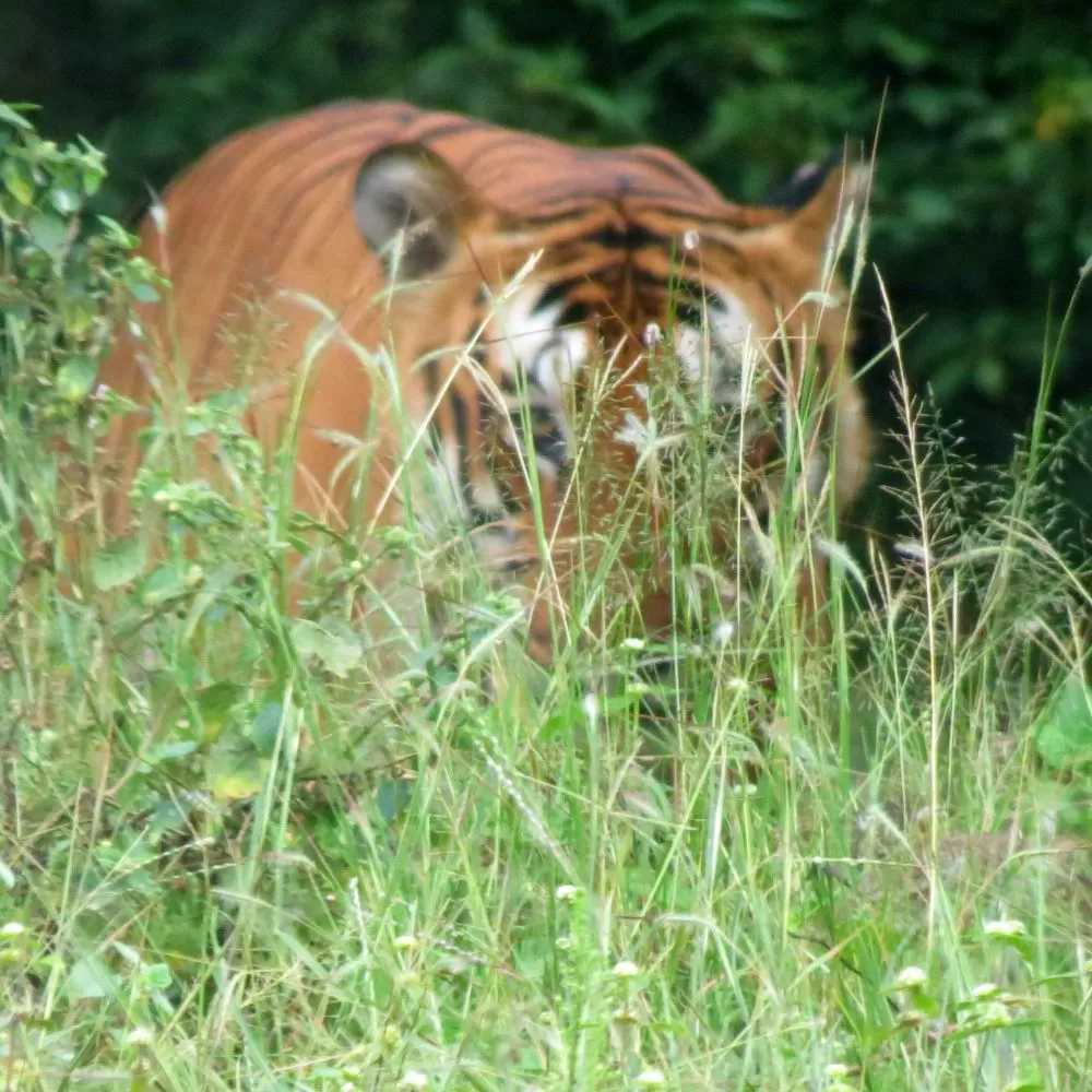 Photo of IN MEMORY OF PRINCE