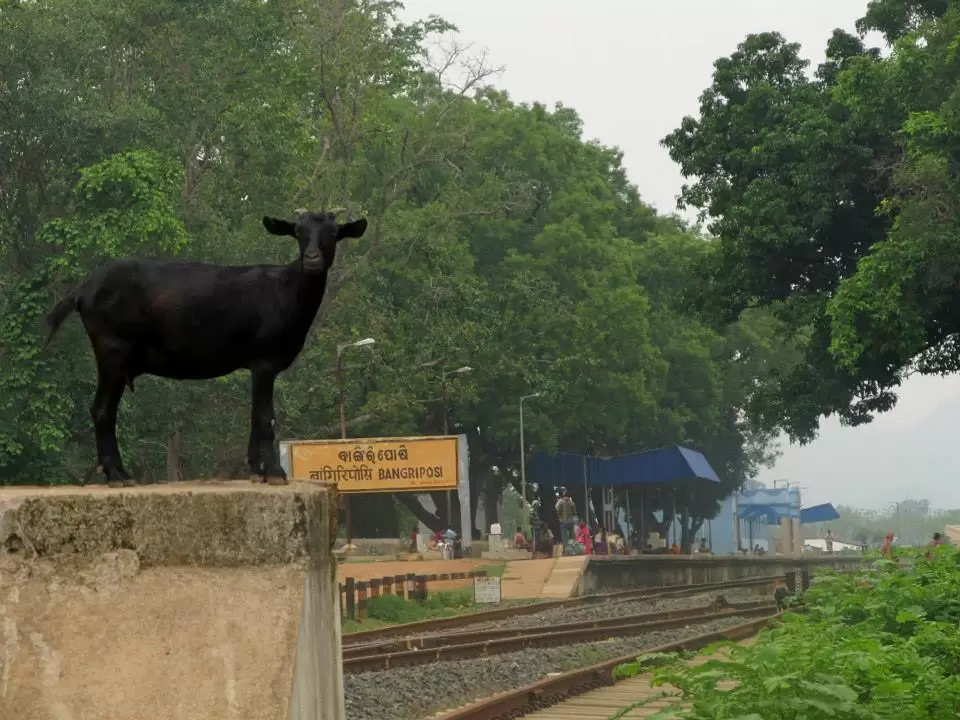 Photo of Bangriposhi – A gate