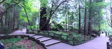 Photo of Love with Northern C