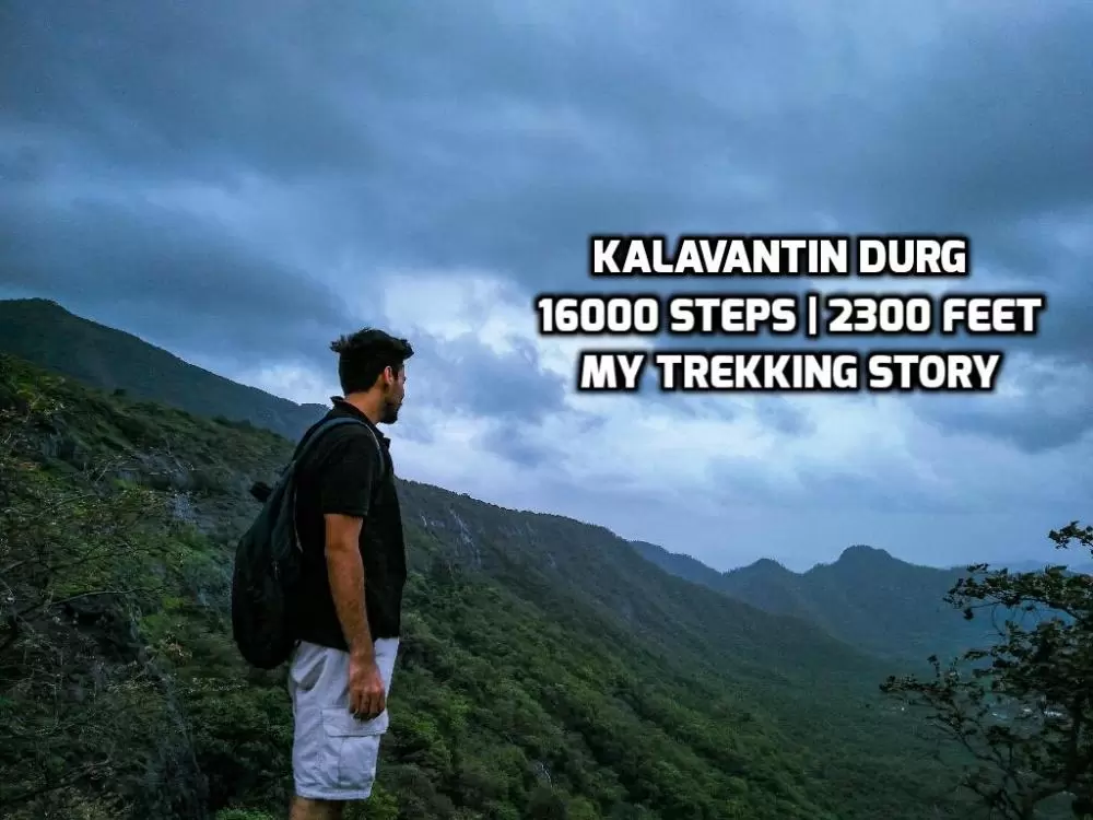 Photo of 16,000 Steps | 2300 