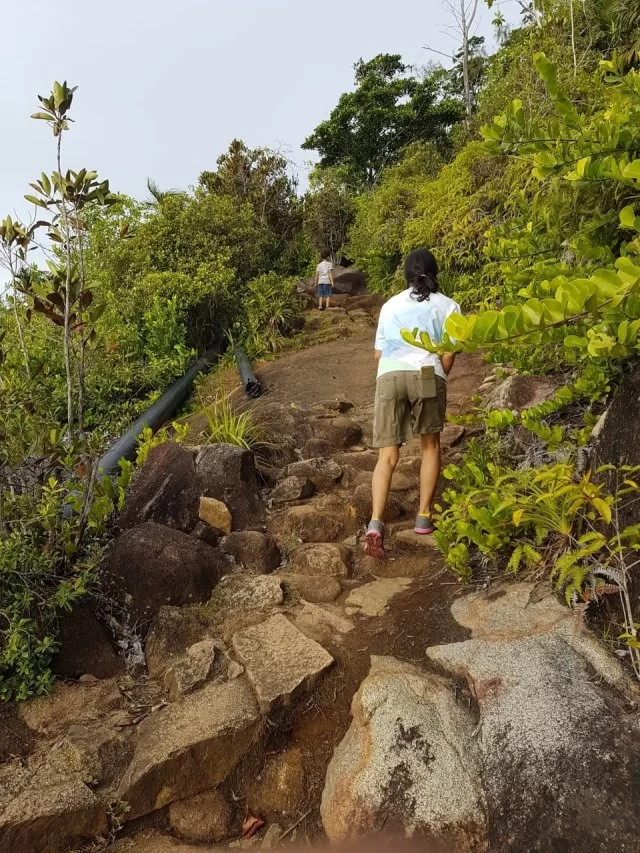 Photo of SEYCHELLES: What you