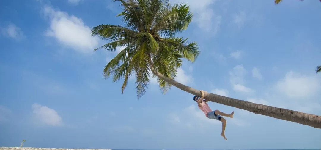 Photo of Everything You Need 