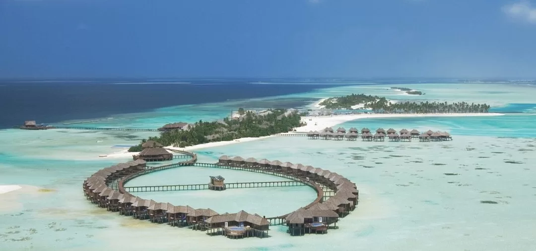 Photo of 17 Mind-Blowing Mald