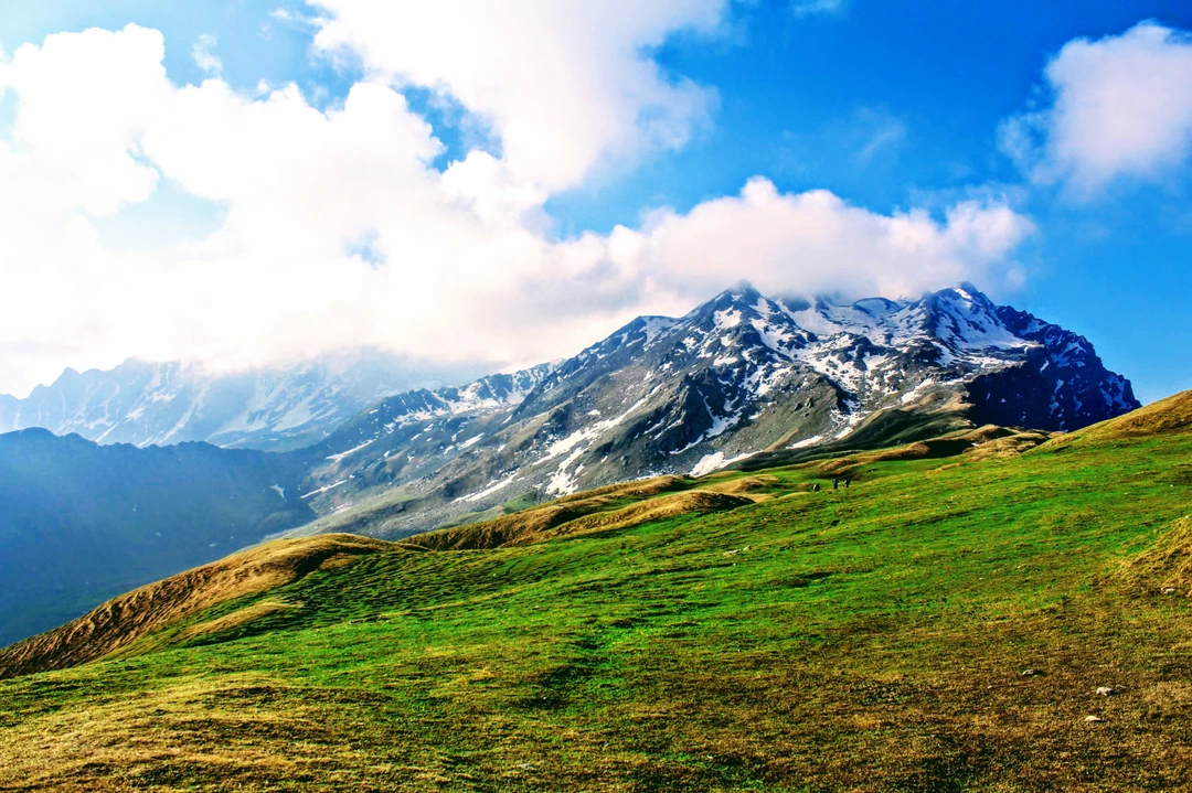 Photo of Lush green meadows o