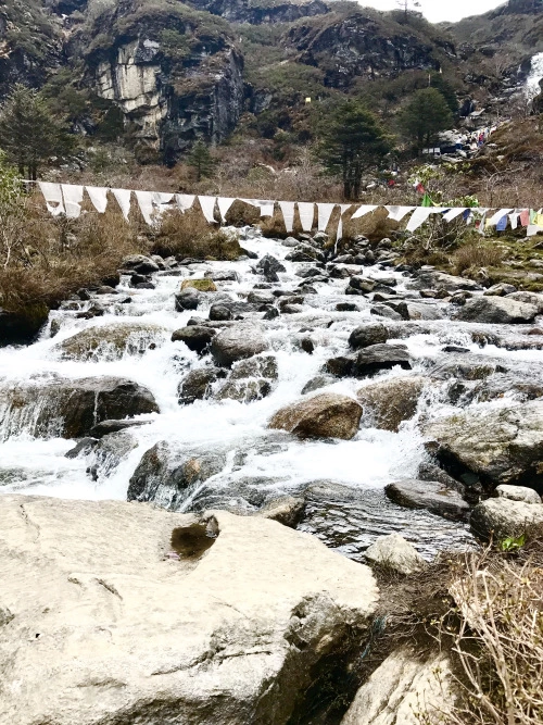 Photo of Live the Himalayan w