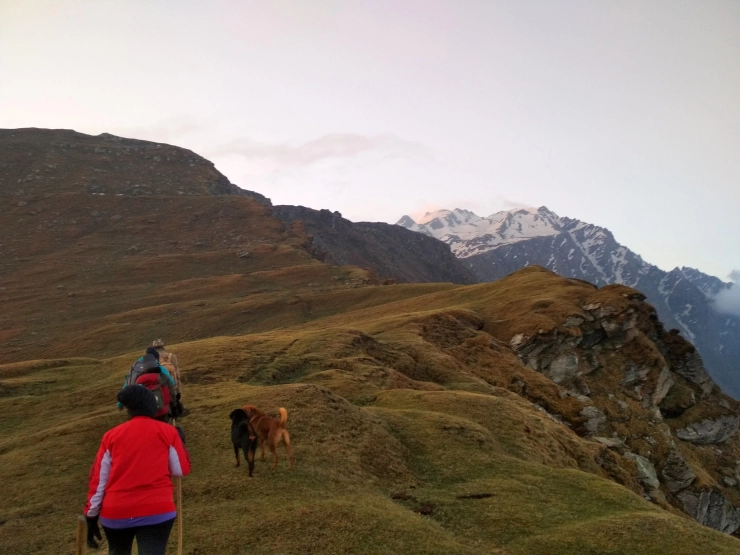 Photo of Why Not To Venture O