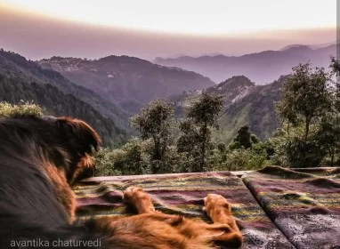 Photo of The Best Destination