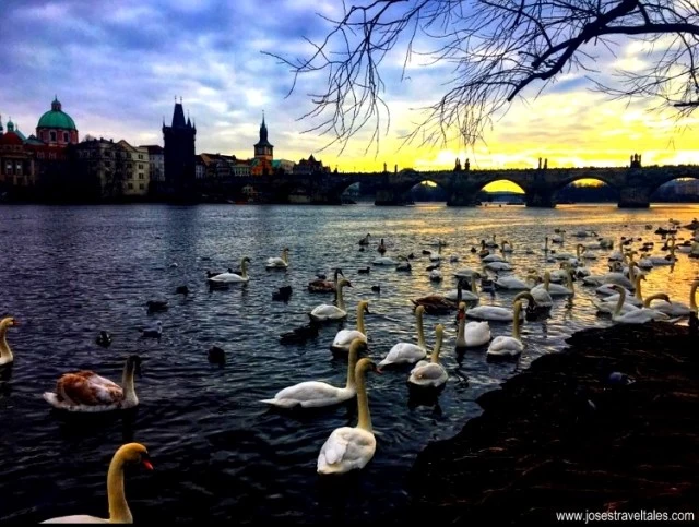 Photo of 3 days in Prague - A