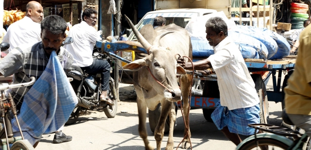 Photo of Cradle Of Madras: Ge