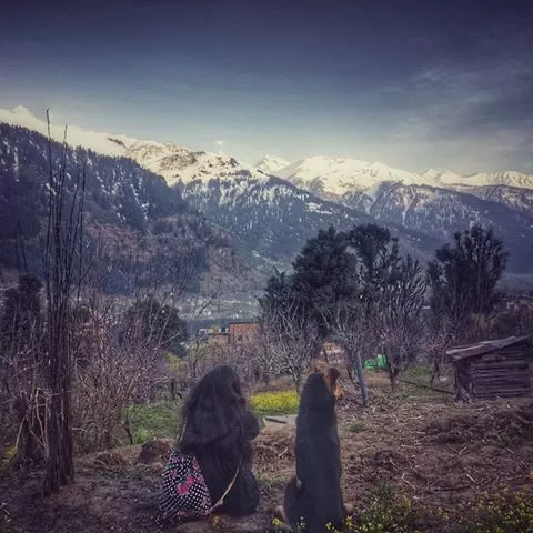 Photo of Ankita Rajeshwari