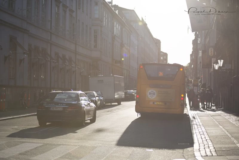 Photo of How I started my Dan