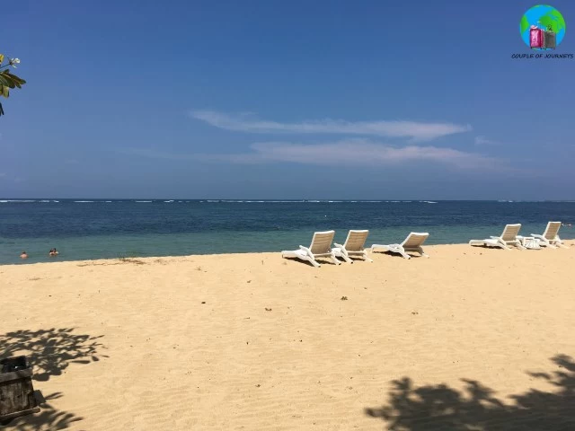 Photo of 4 Reasons Why You Mu